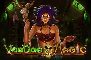 belo4d